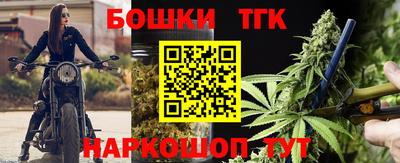 индика Ирбит