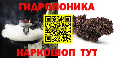 индика Ирбит