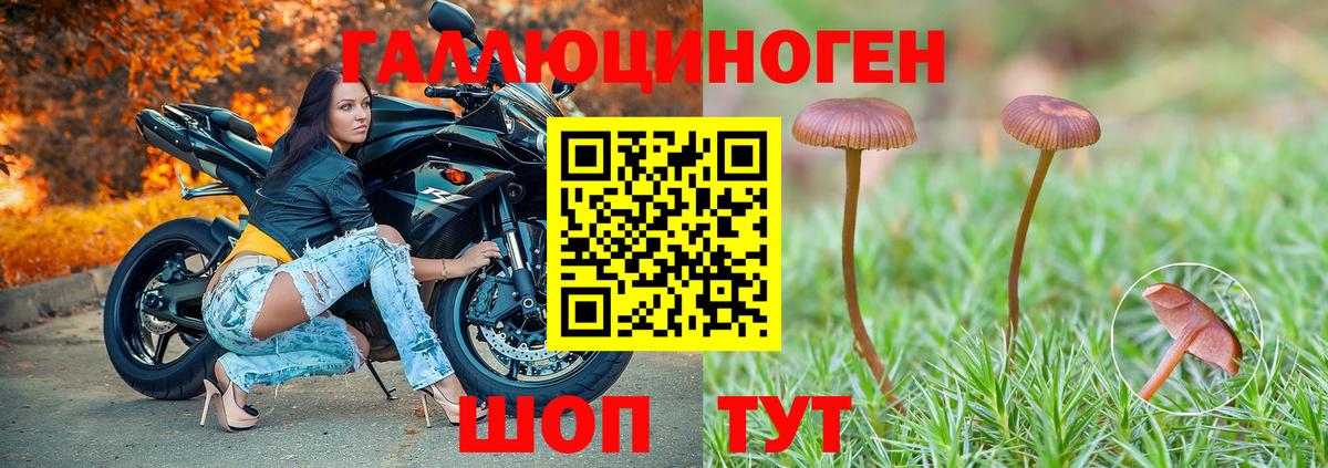 Псилоцибиновые грибы Psilocybine cubensis  Псилоцибиновые грибы мухоморы  Людиново  магазин    Вход с VPN 
